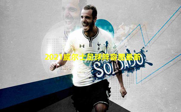 2021威尔士足球阵容图最新