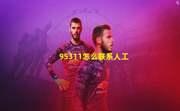95311怎么联系人工