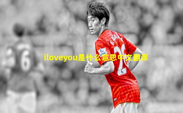 iloveyou是什么意思中文翻译