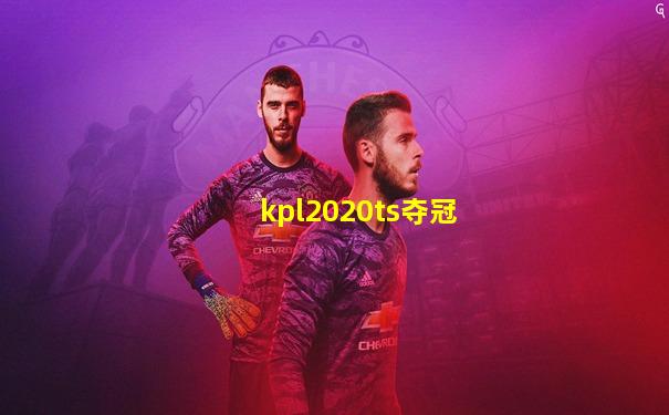 kpl2020ts夺冠