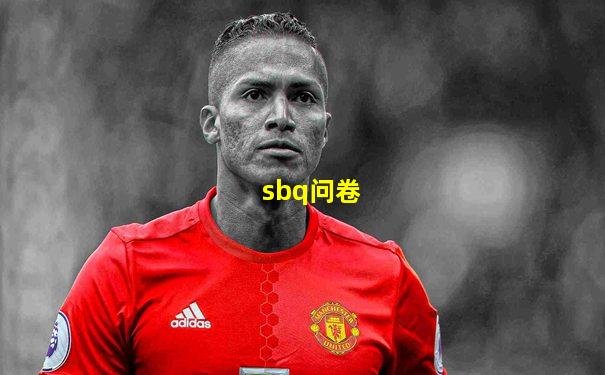 sbq问卷