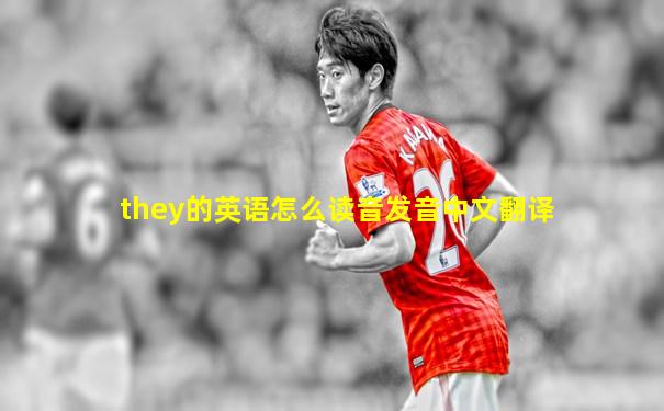 they的英语怎么读音发音中文翻译