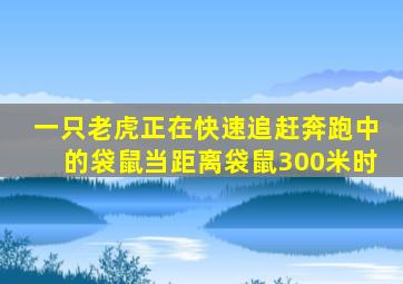 一只老虎正在快速追赶奔跑中的袋鼠当距离袋鼠300米时