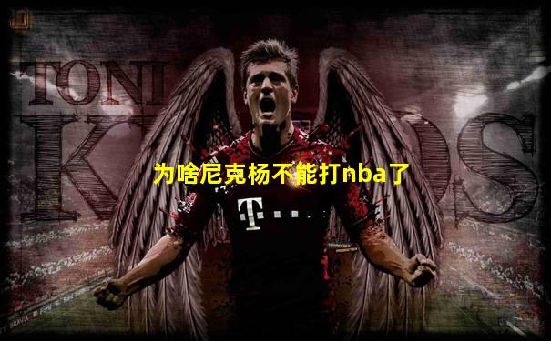 为啥尼克杨不能打nba了