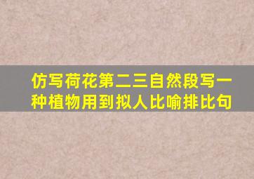 仿写荷花第二三自然段写一种植物用到拟人比喻排比句