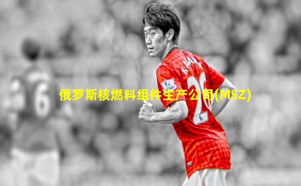 俄罗斯核燃料组件生产公司(MSZ)