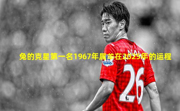 兔的克星第一名1967年属羊在2025年的运程