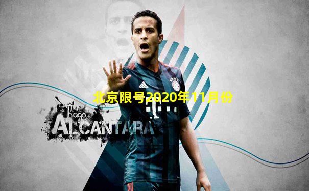 北京限号2020年11月份