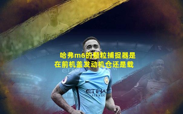 哈弗m6的颗粒捕捉器是在前机盖发动机仓还是载