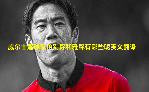 威尔士足球队的别称和雅称有哪些呢英文翻译