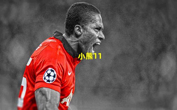 小熊11