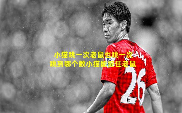 小猫跳一次老鼠也跳一次跳到哪个数小猫能捉住老鼠