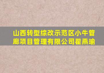 山西转型综改示范区小牛管廊项目管理有限公司翟燕瑜