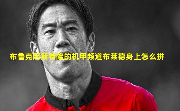 布鲁克阿斯特隆的机甲频道布莱德身上怎么拼