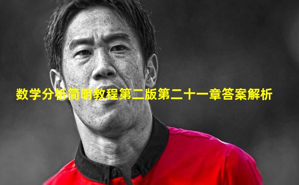 数学分析简明教程第二版第二十一章答案解析