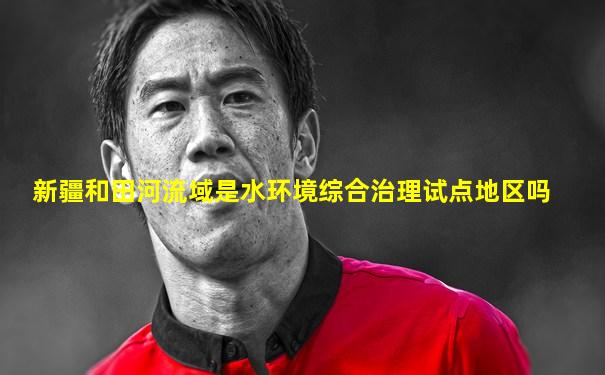 新疆和田河流域是水环境综合治理试点地区吗