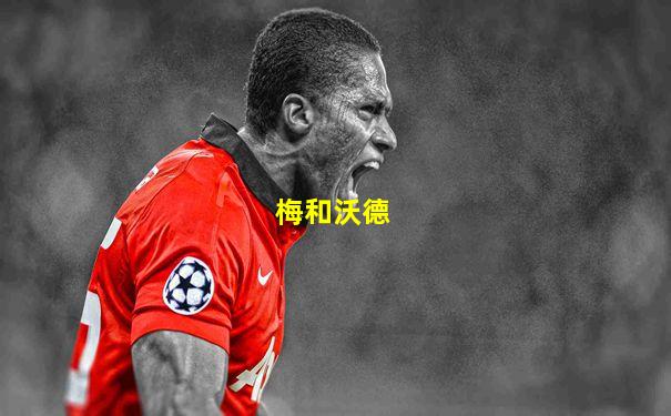 梅和沃德