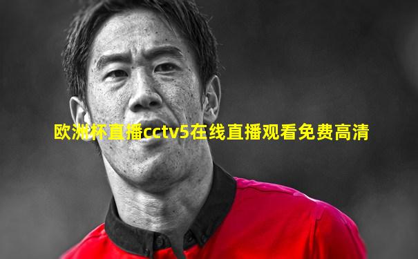 欧洲杯直播cctv5在线直播观看免费高清