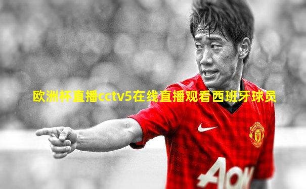 欧洲杯直播cctv5在线直播观看西班牙球员