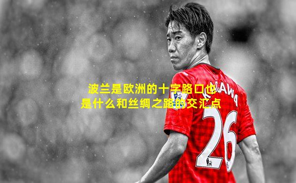 波兰是欧洲的十字路口也是什么和丝绸之路的交汇点
