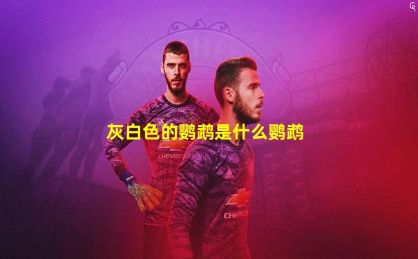 灰白色的鹦鹉是什么鹦鹉
