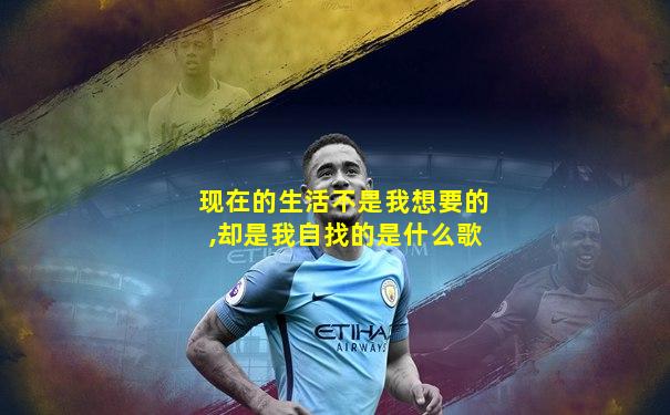 现在的生活不是我想要的,却是我自找的是什么歌