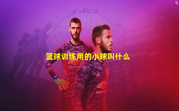篮球训练用的小球叫什么