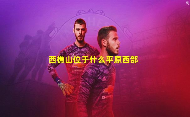 西樵山位于什么平原西部