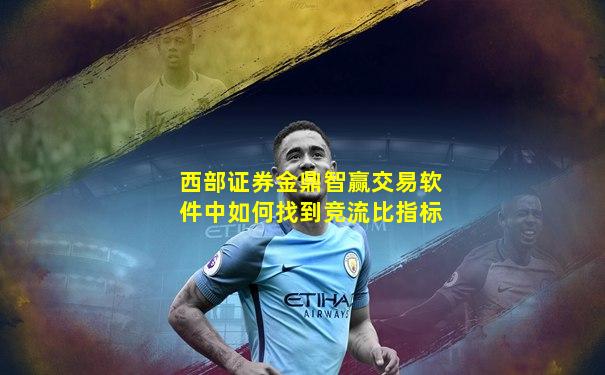 西部证券金鼎智赢交易软件中如何找到竞流比指标