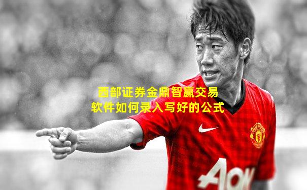 西部证券金鼎智赢交易软件如何录入写好的公式