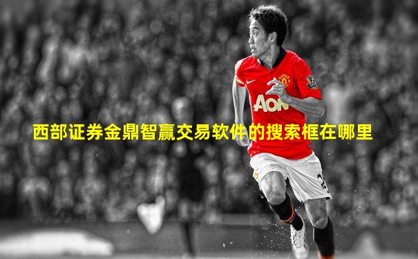 西部证券金鼎智赢交易软件的搜索框在哪里
