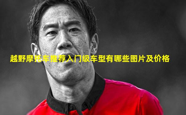 越野摩托车推荐入门级车型有哪些图片及价格