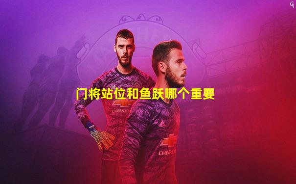 门将站位和鱼跃哪个重要