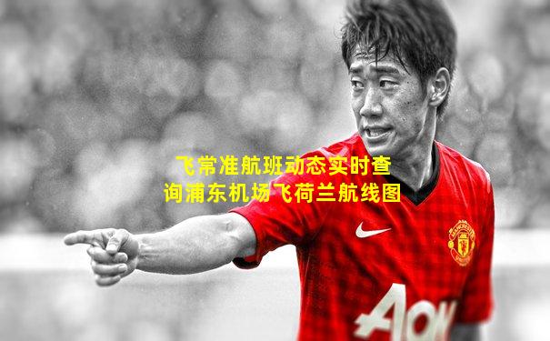 飞常准航班动态实时查询浦东机场飞荷兰航线图
