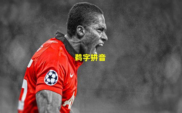 鹈字拼音