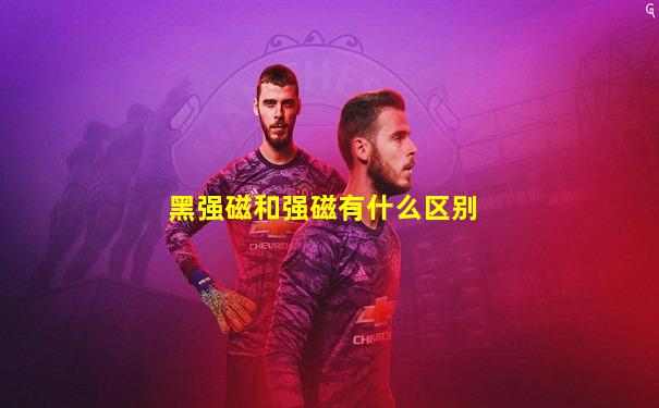 黑强磁和强磁有什么区别