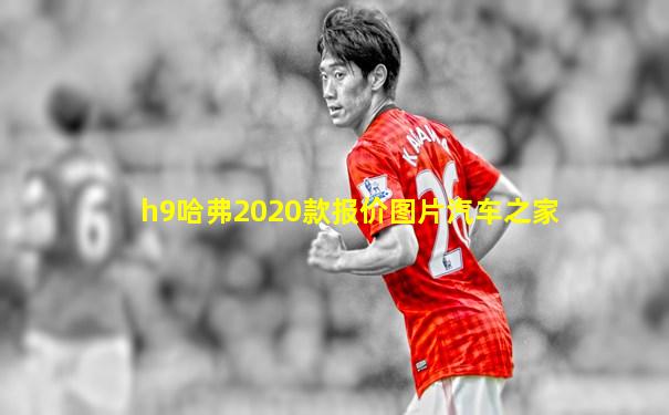 h9哈弗2020款报价图片汽车之家