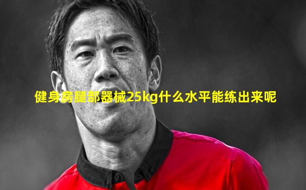 健身房腿部器械25kg什么水平能练出来呢