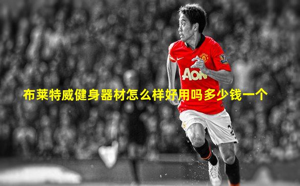 布莱特威健身器材怎么样好用吗多少钱一个