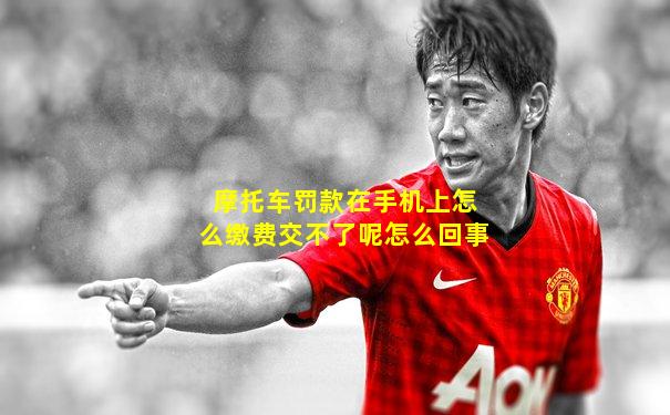 摩托车罚款在手机上怎么缴费交不了呢怎么回事
