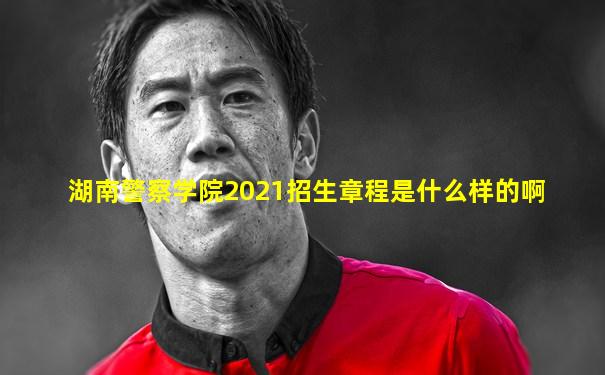 湖南警察学院2021招生章程是什么样的啊