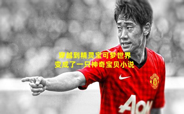 穿越到精灵宝可梦世界变成了一只神奇宝贝小说