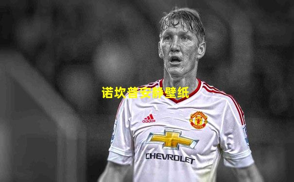 诺坎普安静壁纸
