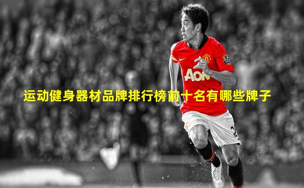 运动健身器材品牌排行榜前十名有哪些牌子