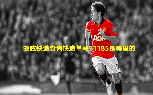 邮政快递查询快递单号11185是哪里的